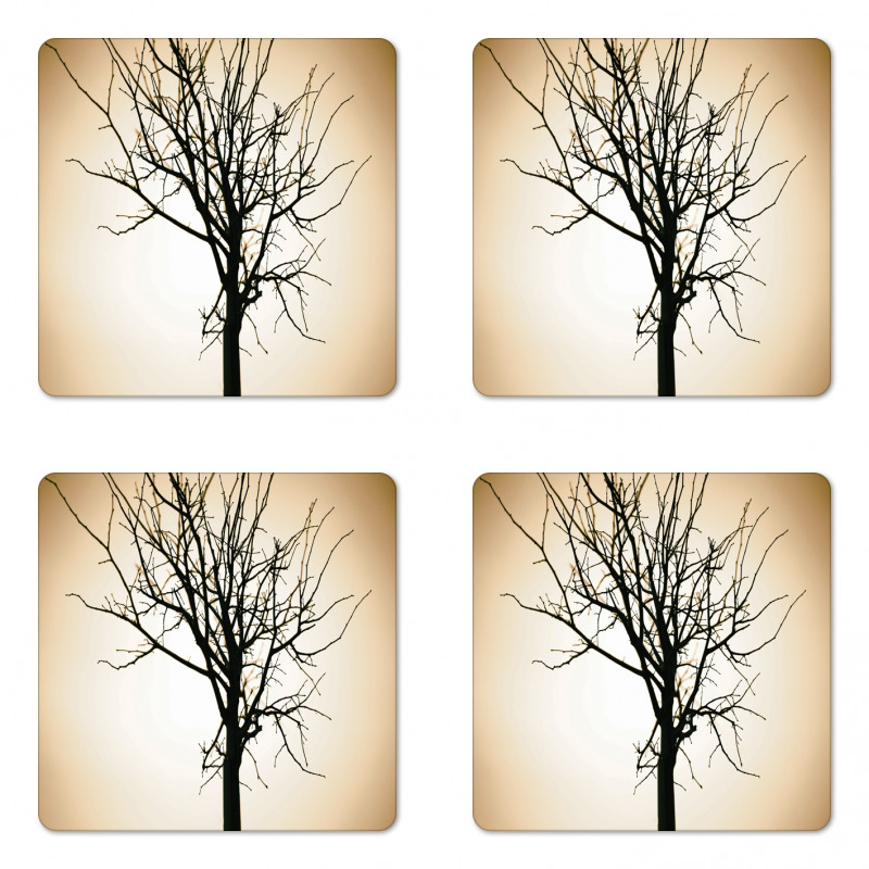 Barren Tree on Ombre Coaster Set Of Four