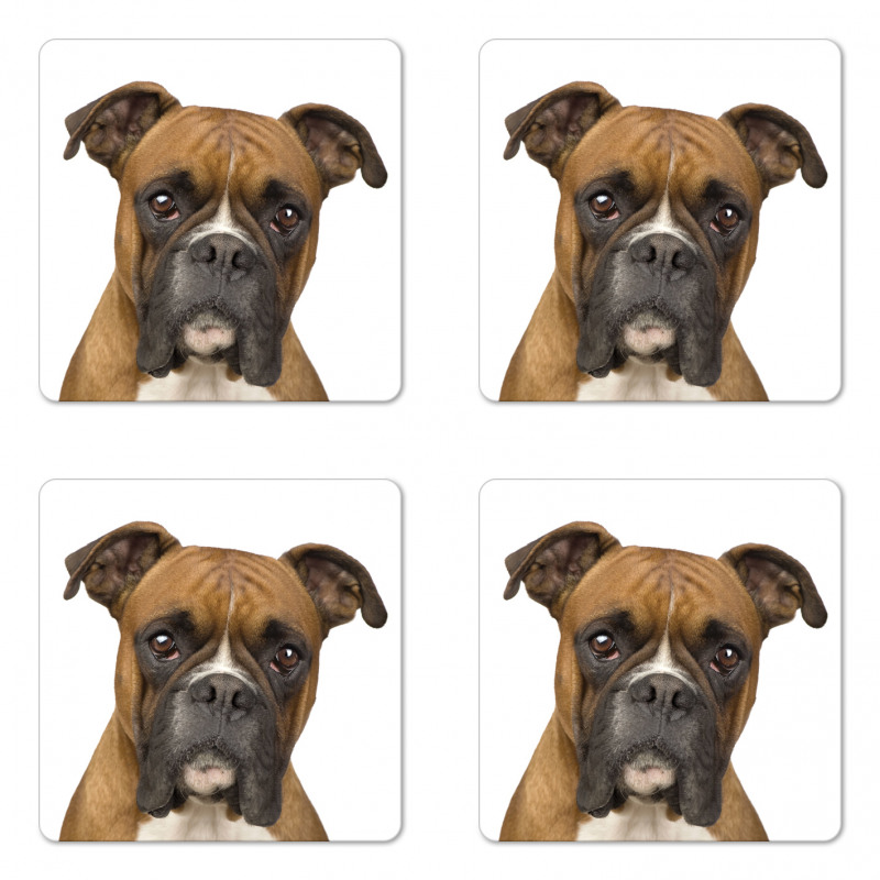Purebred Dog Front View Coaster Set Of Four