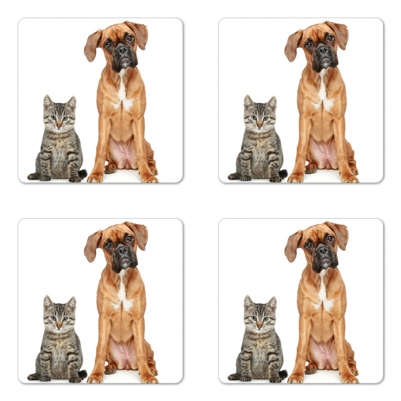 Cat Dog Animal Friends Coaster Set Of Four