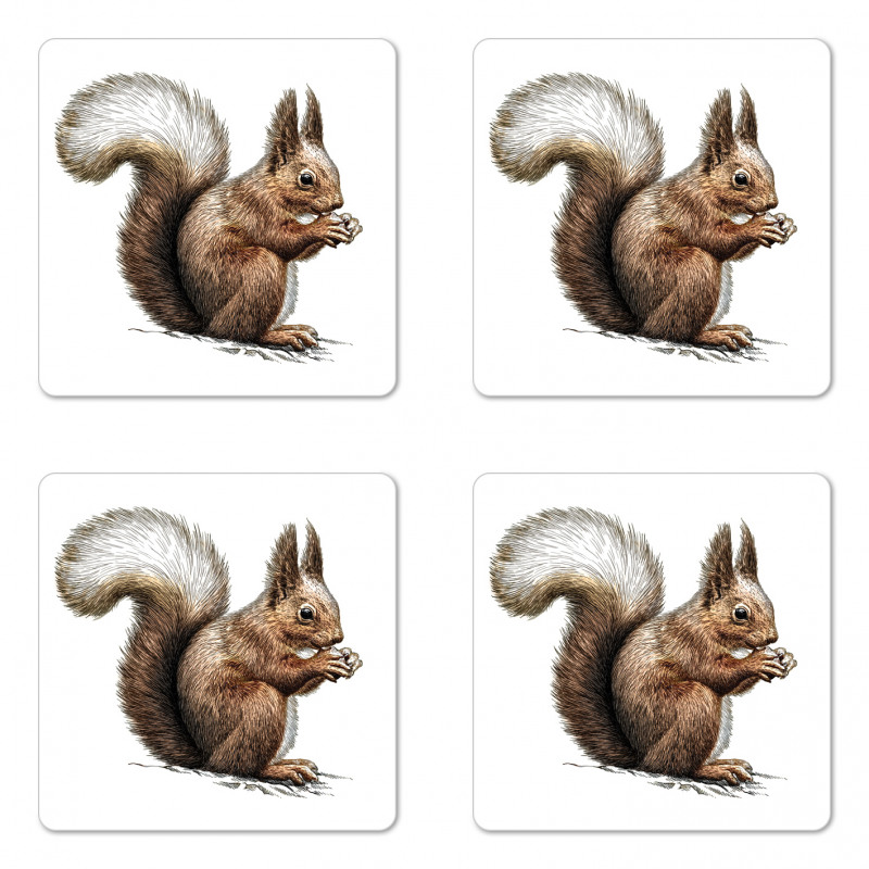 Sketch Artwork Wildlife Coaster Set Of Four