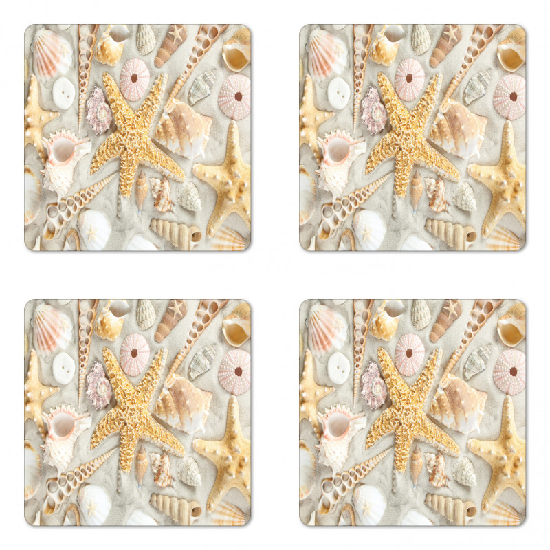 Assorted Seashells Sand Beach Coaster Set Of Four