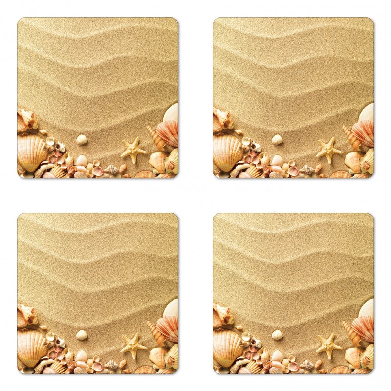 Various Seashells on Sand Coaster Set Of Four