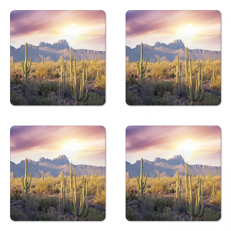 Saguaro Cactus and Mountain Coaster Set Of Four