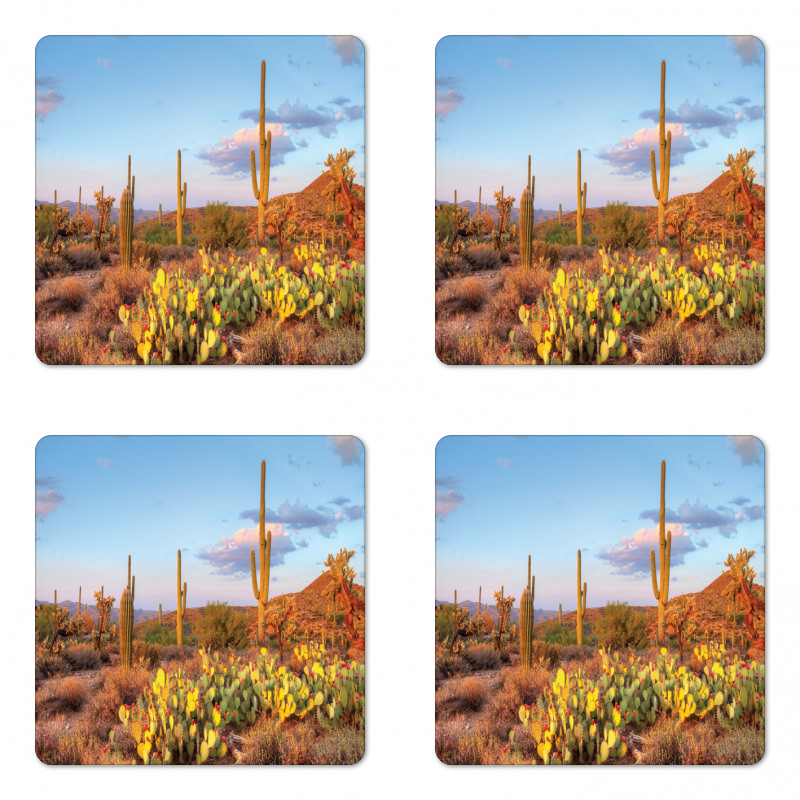 Cacti in Sonoran Desert Coaster Set Of Four