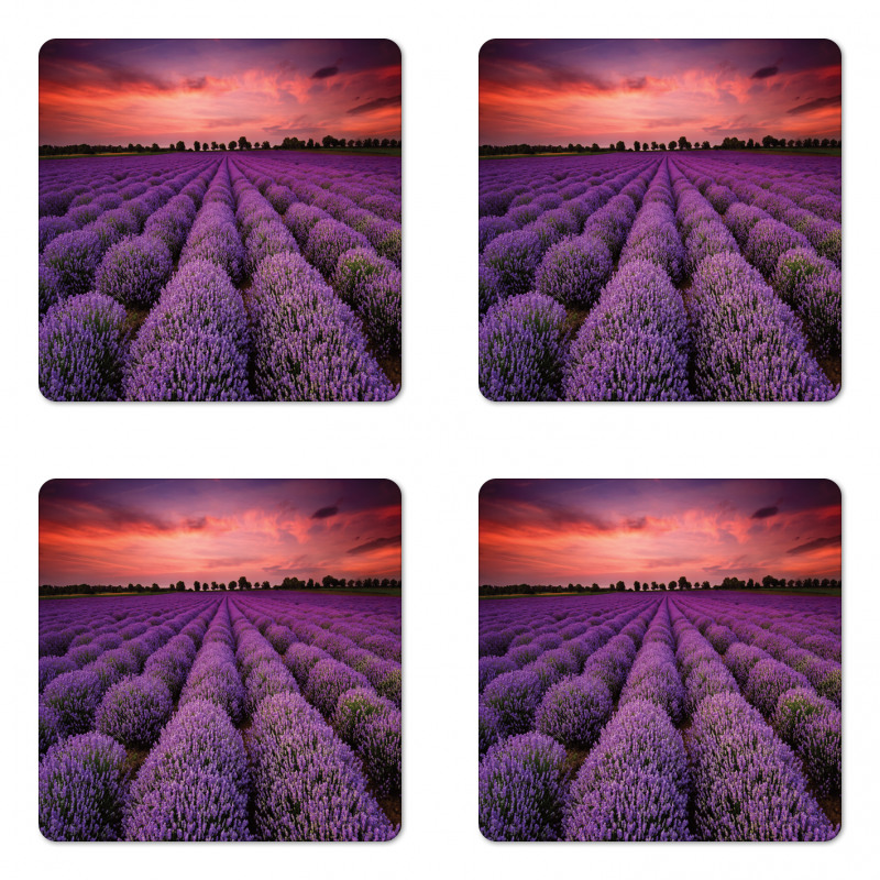 Lavender Field Sunset Coaster Set Of Four