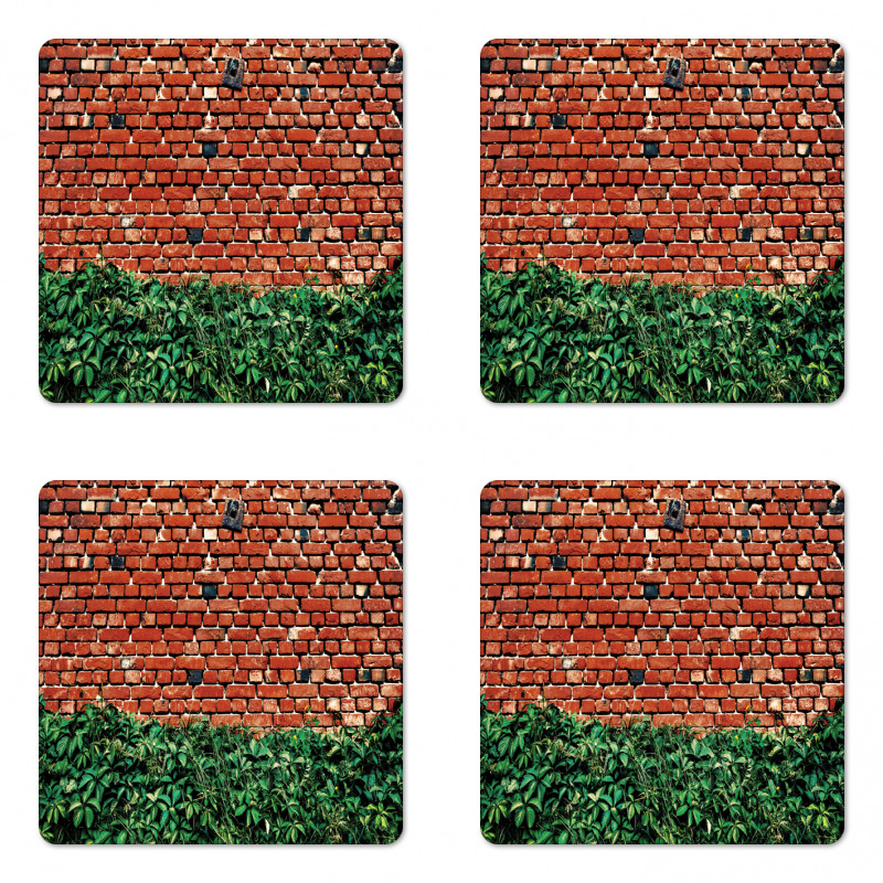 Wall with Green Leaves Coaster Set Of Four