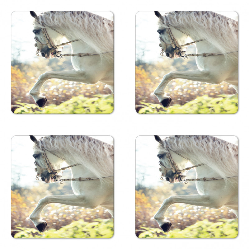 Horse on a Blurry Back Coaster Set Of Four