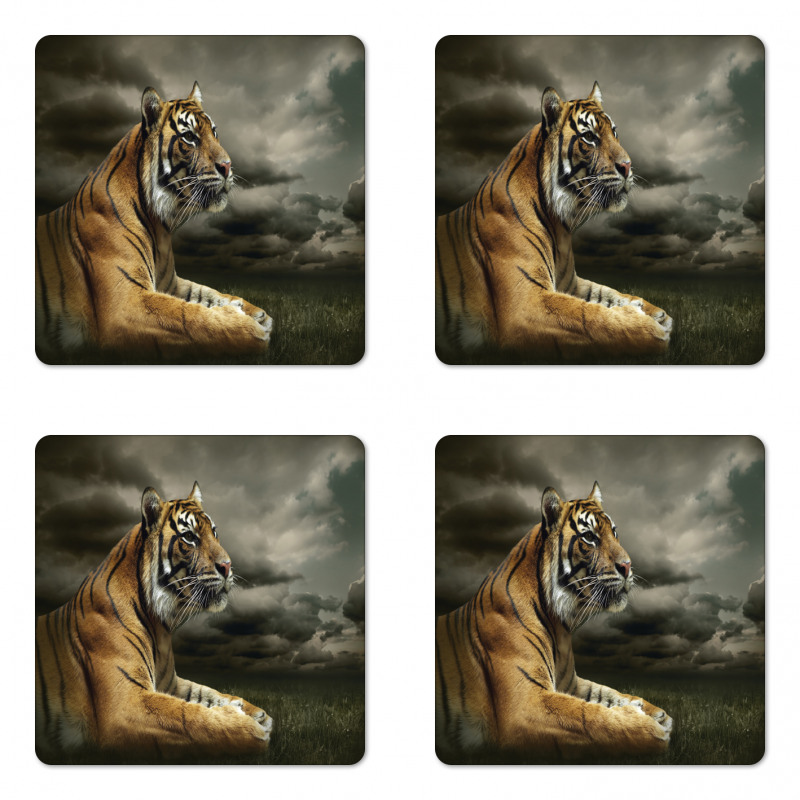 Jungle African Cat Clouds Coaster Set Of Four