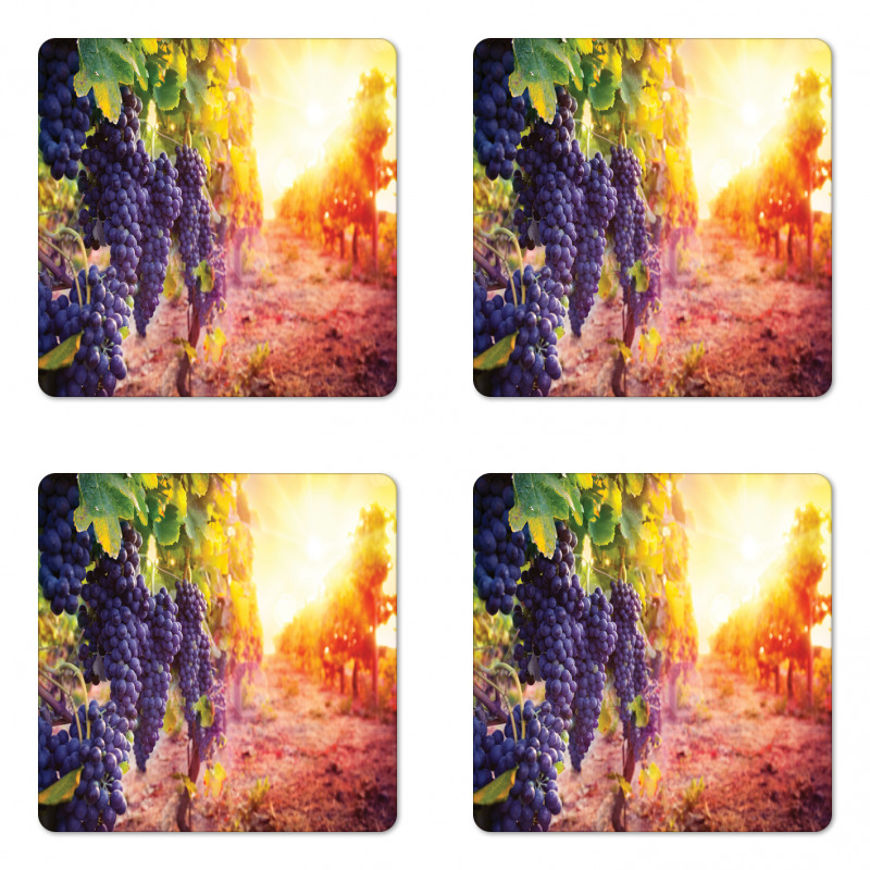 Grape in Countryside Vineyard Coaster Set Of Four