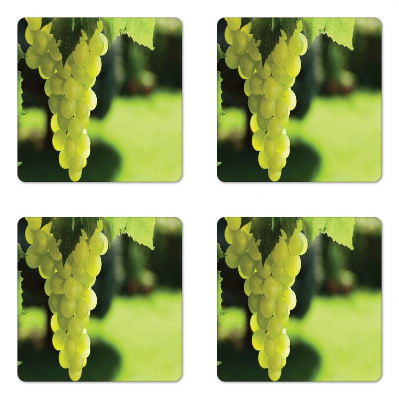 Bunch of Fruits Hanging Photo Coaster Set Of Four