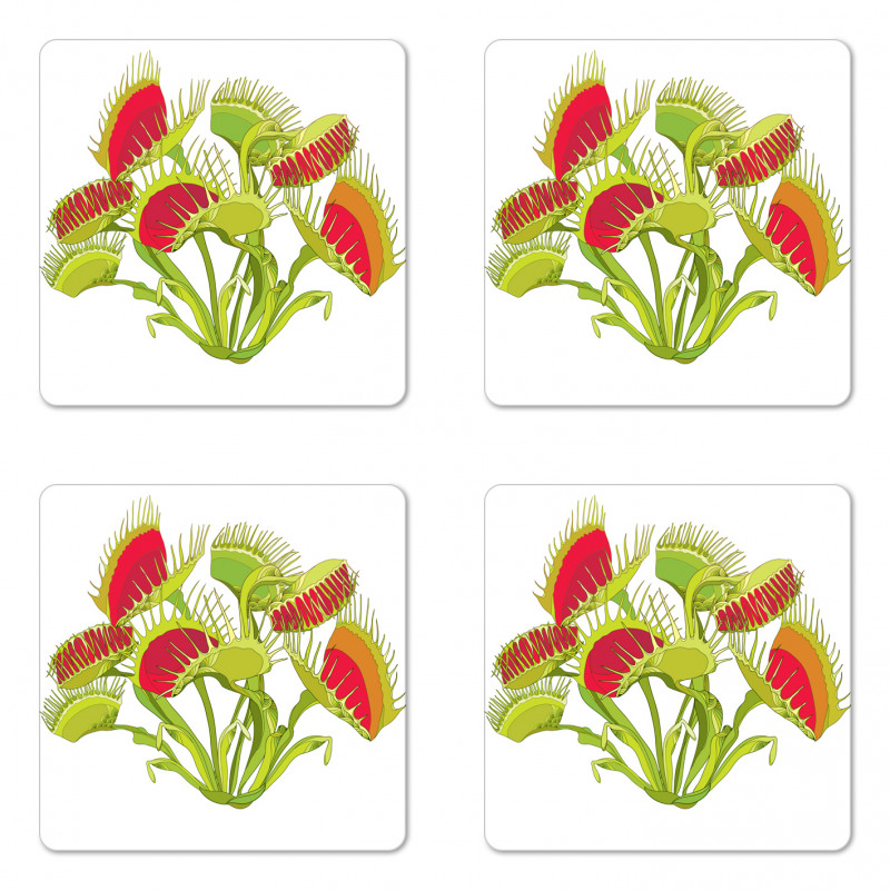 Bouquet of Venus Flytrap Coaster Set Of Four