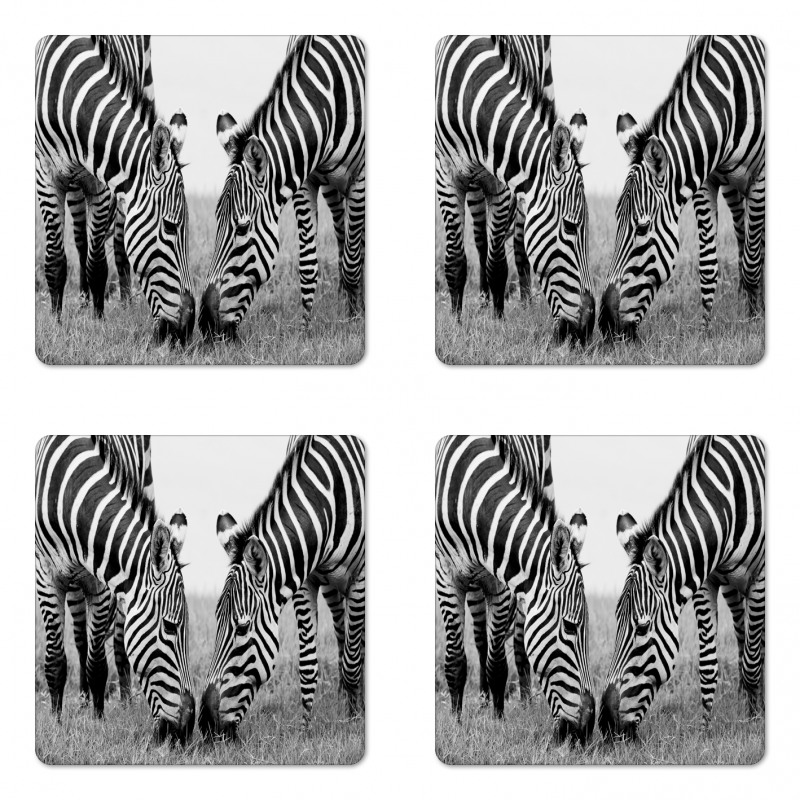 Wildlife Burchell Coaster Set Of Four