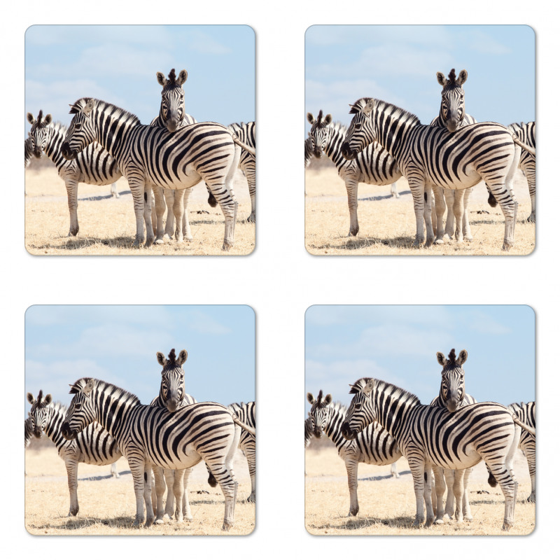 Namibia Africa Safari Coaster Set Of Four