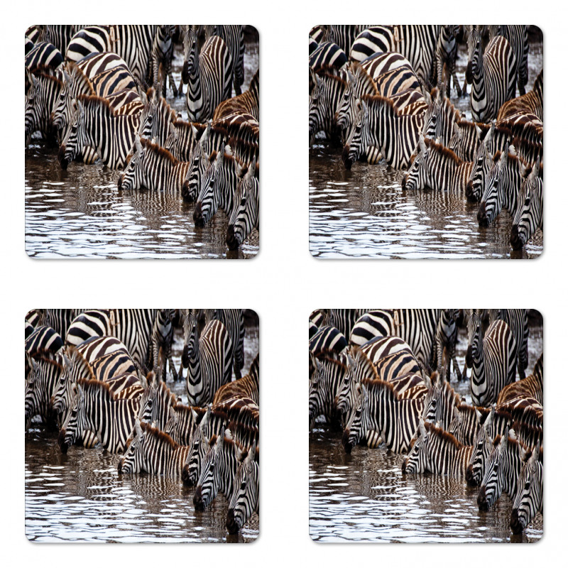 Zebra Wildebeest Herd Coaster Set Of Four