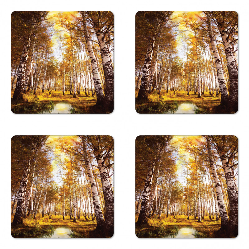 Autumn Birch Trees River Coaster Set Of Four