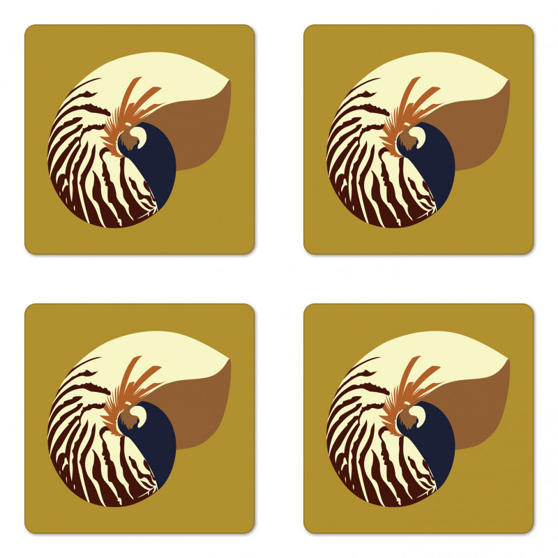 Nautilus Shell Underwater Coaster Set Of Four