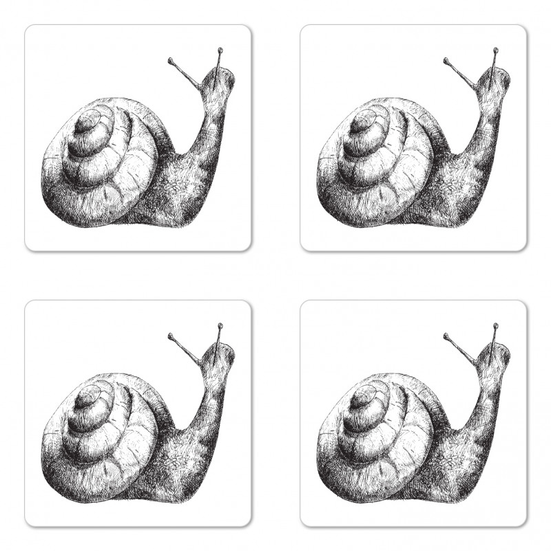 Hand Drawn Slug Sketch Design Coaster Set Of Four