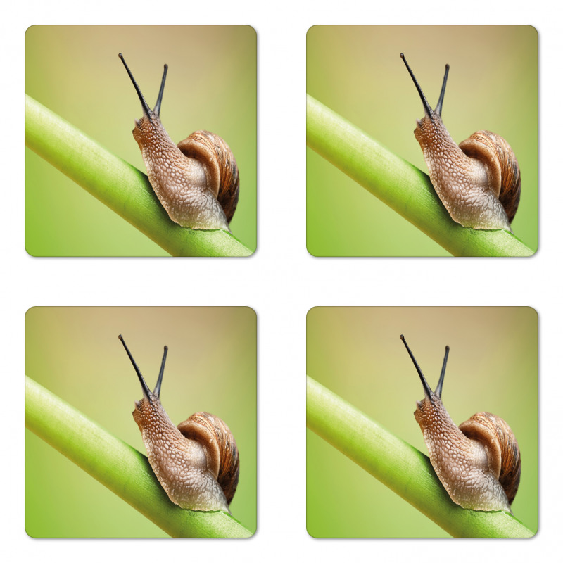 Garden Animal on Stem Plant Coaster Set Of Four