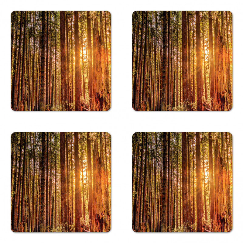 Redwoods Forestry Coaster Set Of Four