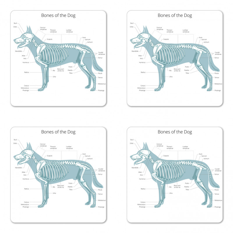 Bones of the Dog Table Coaster Set Of Four