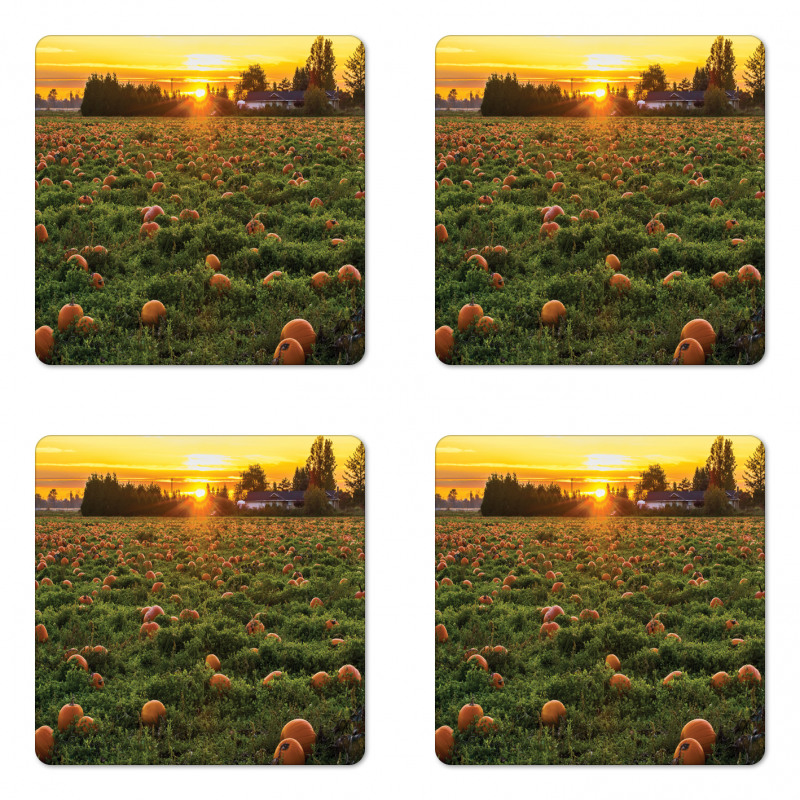 Fall Patch at Sunset Coaster Set Of Four