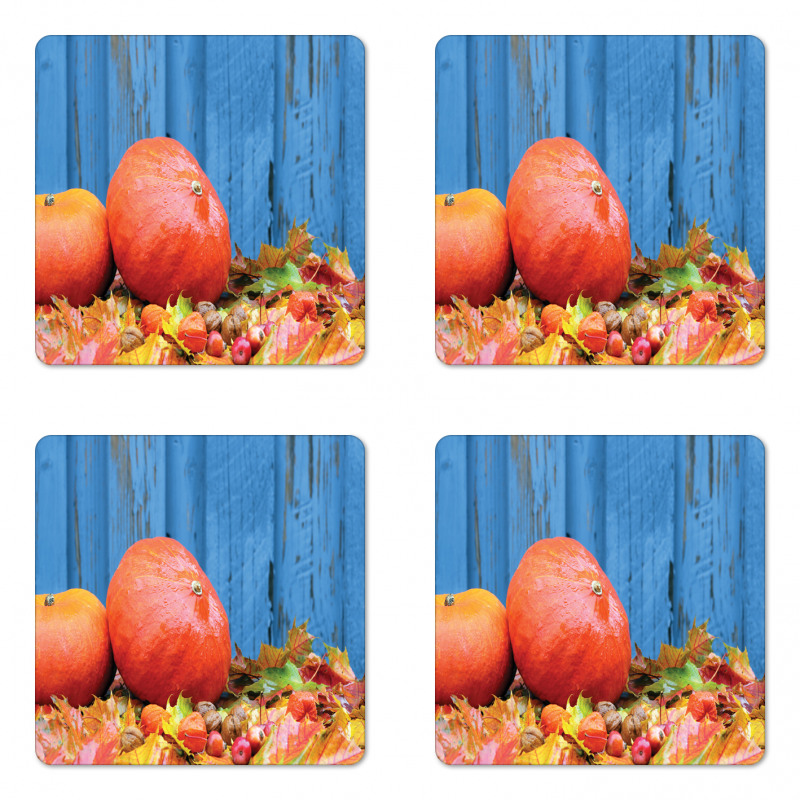 Fruit and Fall Leaf Coaster Set Of Four