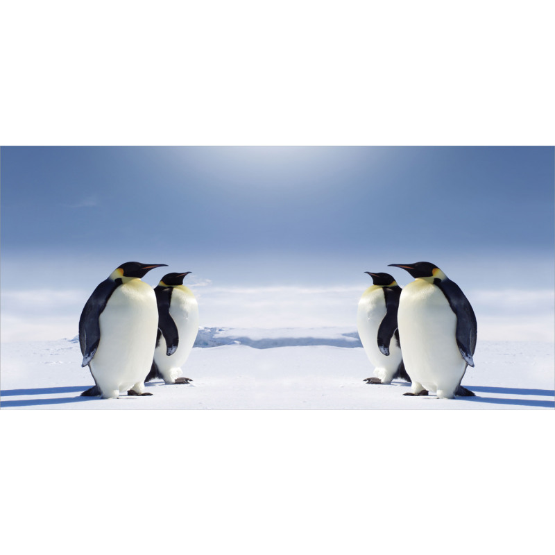 Penguins in Antarctica Piggy Bank