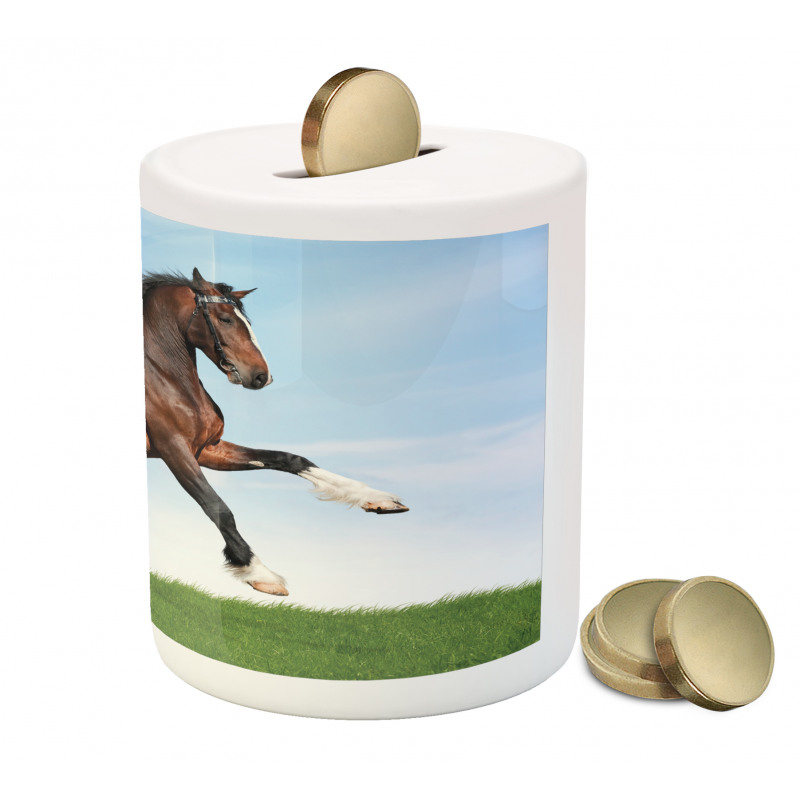 Horse Pacing on Grass Piggy Bank