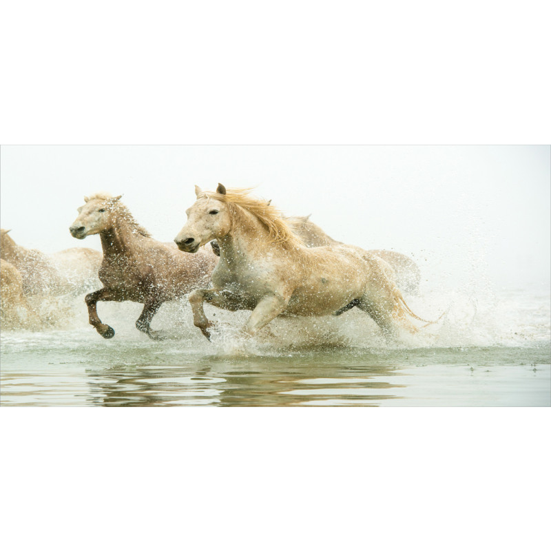 Camargue Horses in Water Piggy Bank