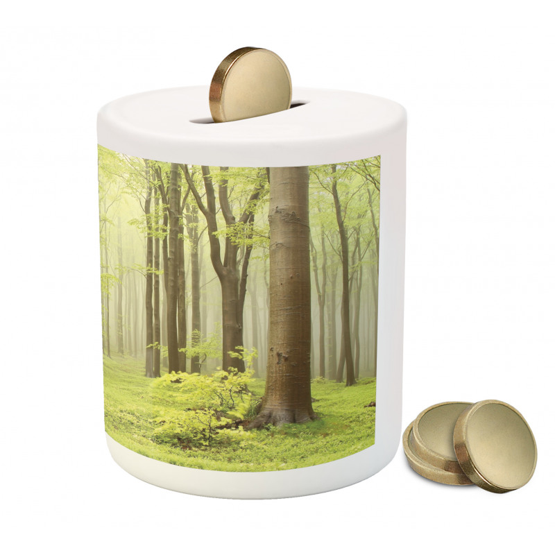 Misty Spring Nature Piggy Bank