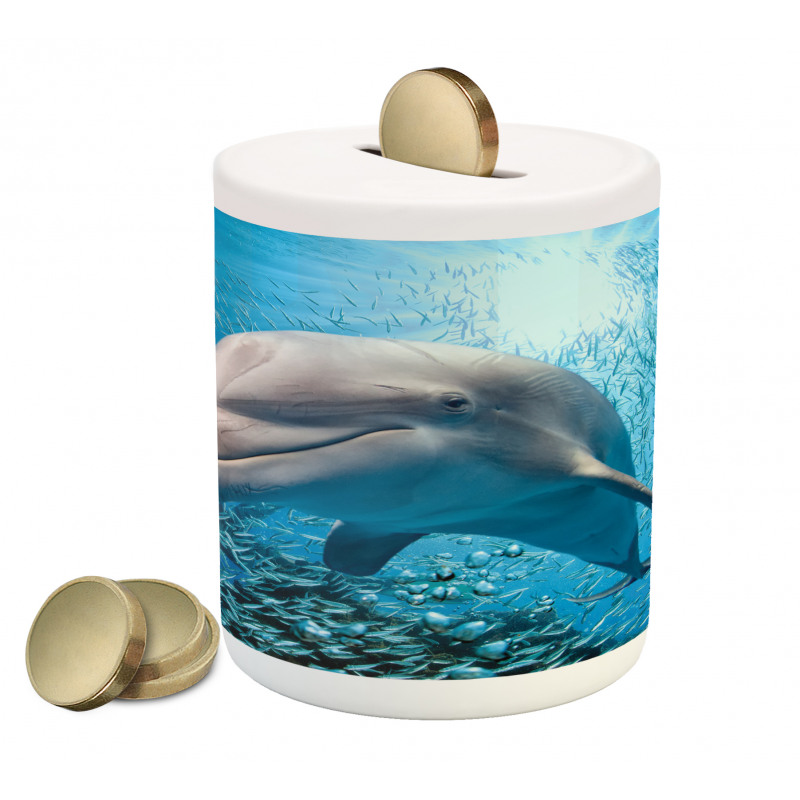 Dolphin in Ocean Marine Piggy Bank