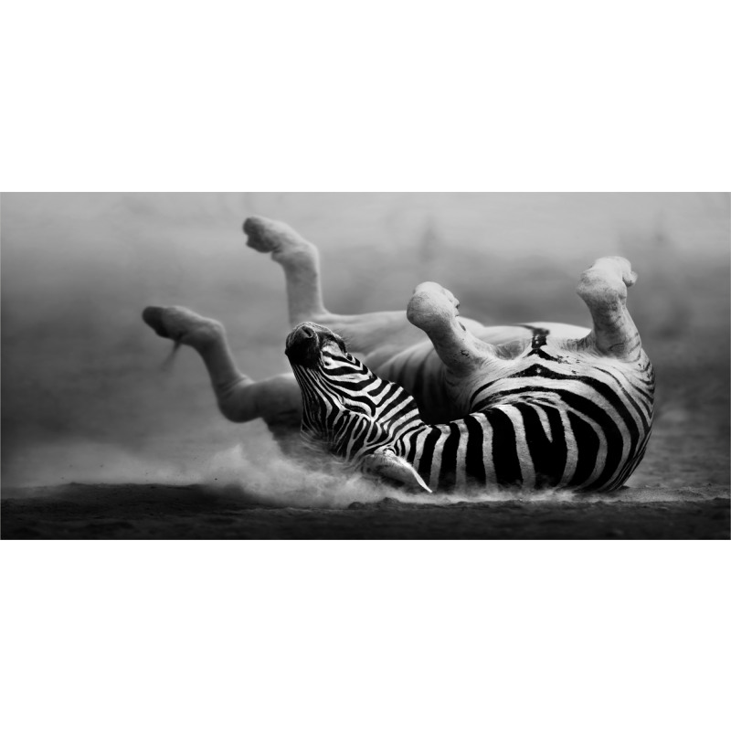 Savage Zebra Striped Piggy Bank