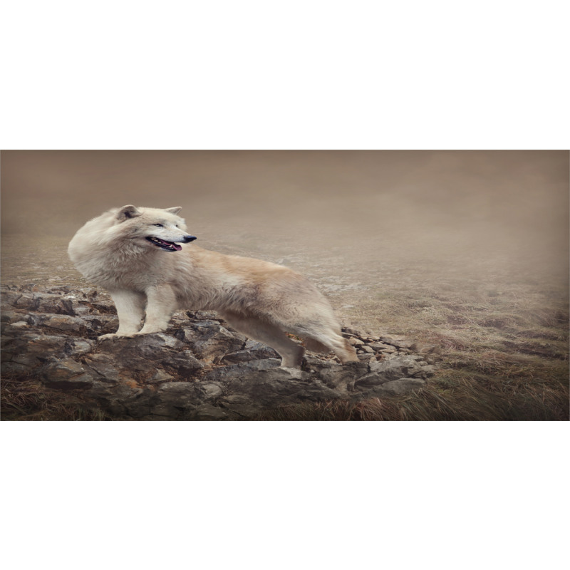 White Wolf on the Rocks Piggy Bank