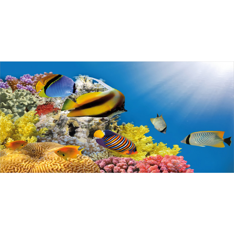 Coral Colony on Reef Top Piggy Bank