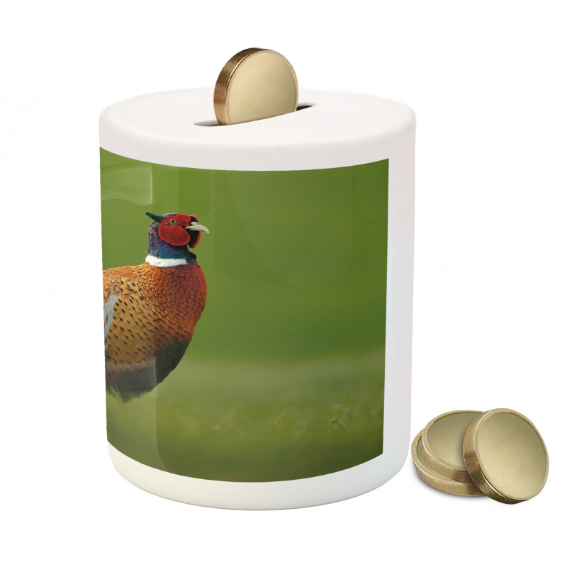 Pheasant Long Tail Meadow Piggy Bank