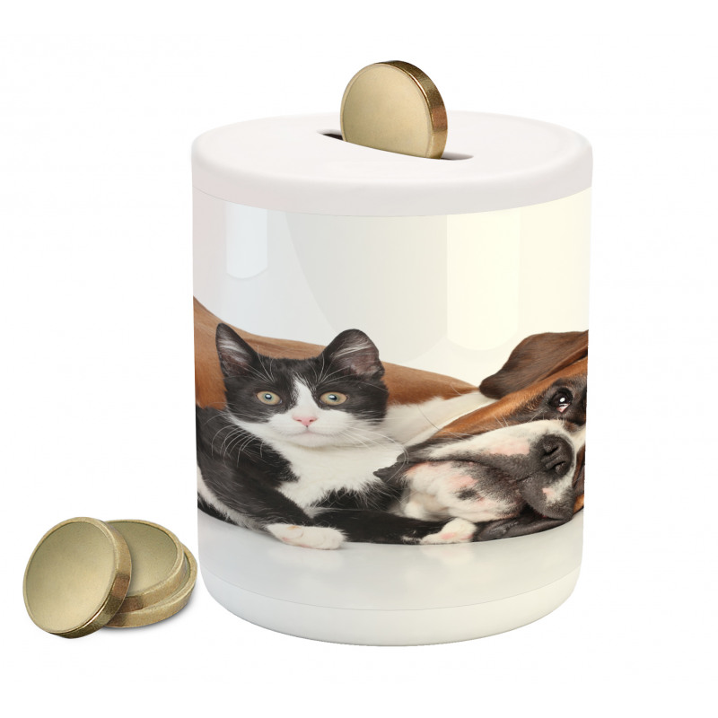 Cat Dog Friendship Piggy Bank