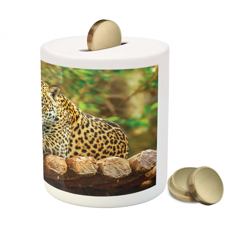 Jaguar on Wood Wild Feline Piggy Bank