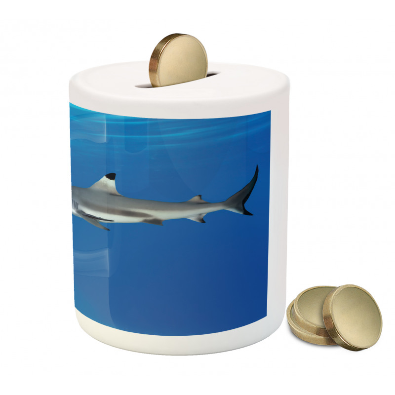 Tropic Underwater World Piggy Bank