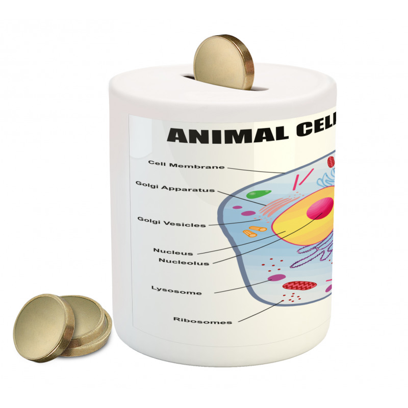 Animal Cell Study Piggy Bank