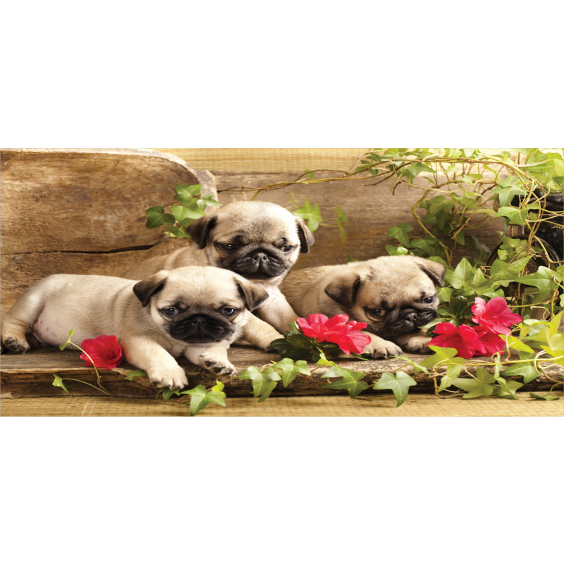 Sibling Puppies Flowers Piggy Bank