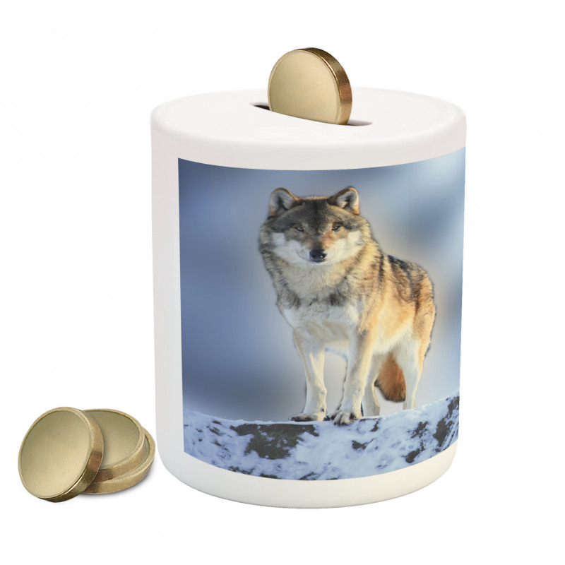 Carnivore Canine in Snow Piggy Bank