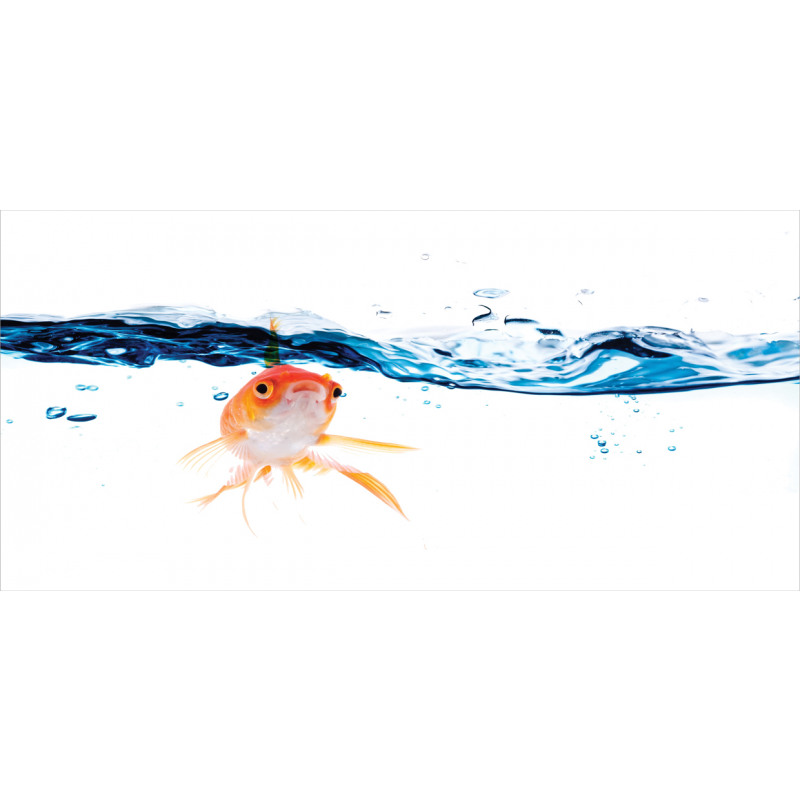 Goldfish Swimming in Water Piggy Bank