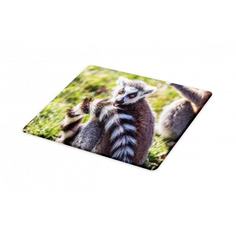 Ring Tailed Funny Expression Cutting Board