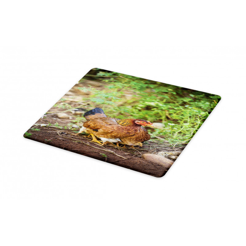 Chicken on Babies Cutting Board