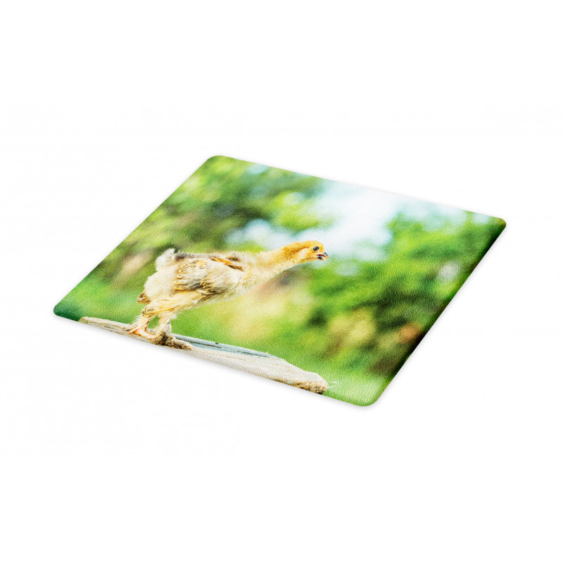 Little Baby Chicken on Log Cutting Board