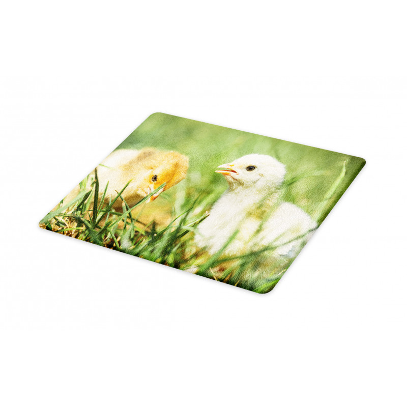 Close up Photo Baby Chickens Cutting Board