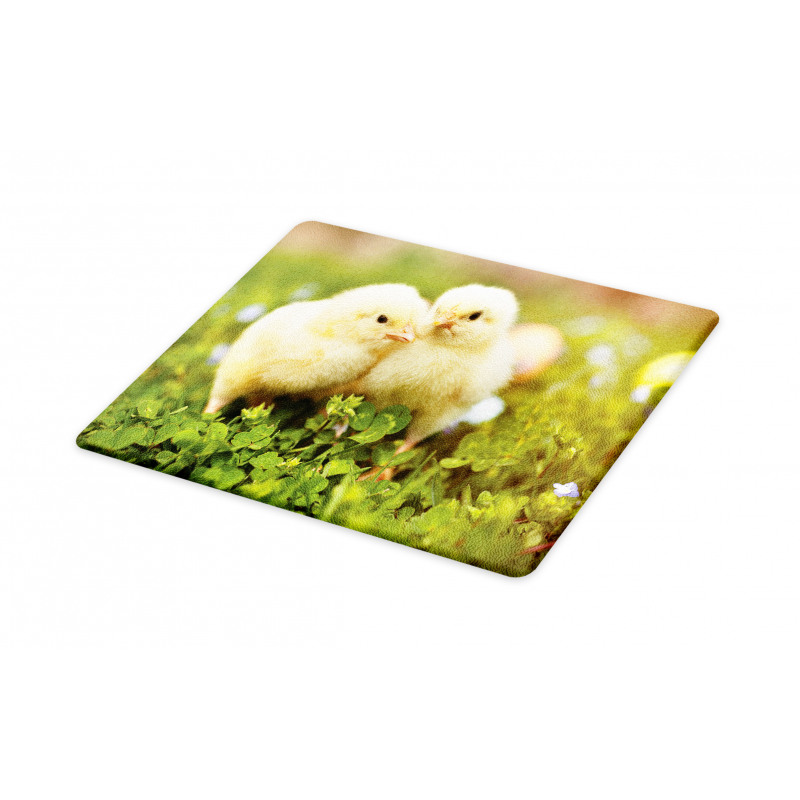 Baby Chickens Photo Cutting Board