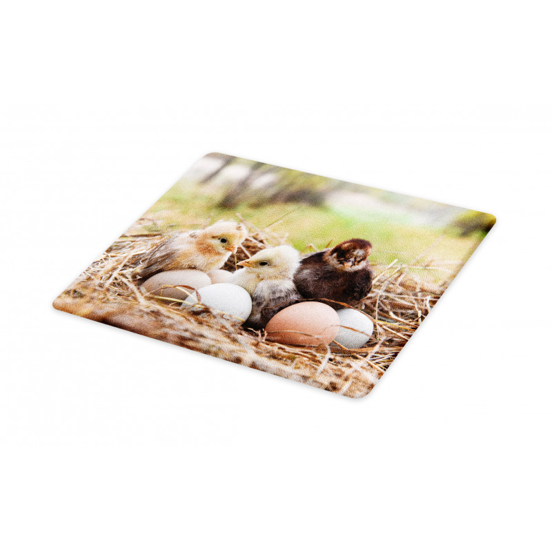 Little Chickens in Hay Eggs Cutting Board