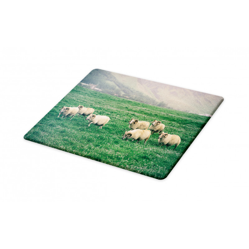 Sheep Grazing on Grass Cutting Board