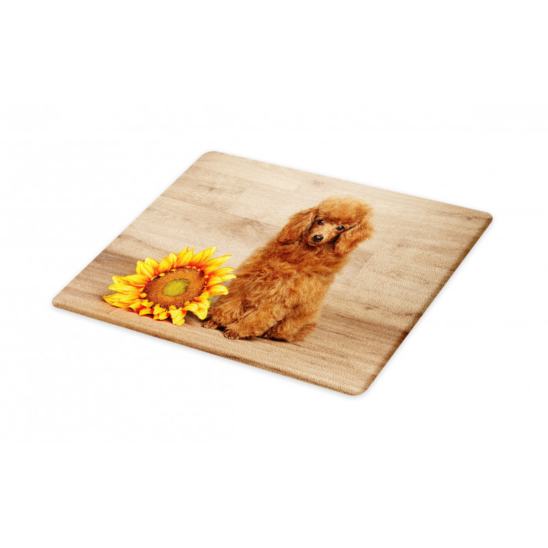 Sunflower on Wooden Backdrop Cutting Board